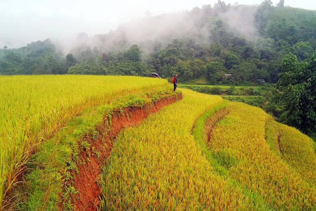 Hoang Su Phi Hiking Tour 3 Day Itinerary